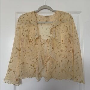 Aritzia sheer blouse